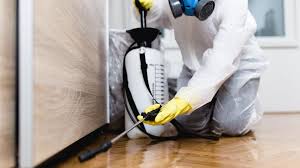 Best Residential Pest Control  in Inwood, NY